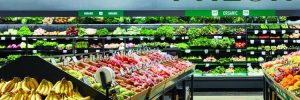 Amazon Fresh Bucks County